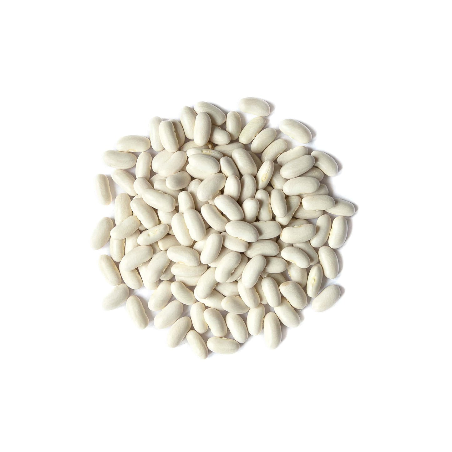 Food To Live - Cannellini Beans, 5 Pounds Dried White Kidney Beans, Sproutable, Vegan, Kosher, Sirtfood, Bulk. Rich In Fiber, Protein. Great For Minestrone Soup, Bean Salad, Stews, White Chili.