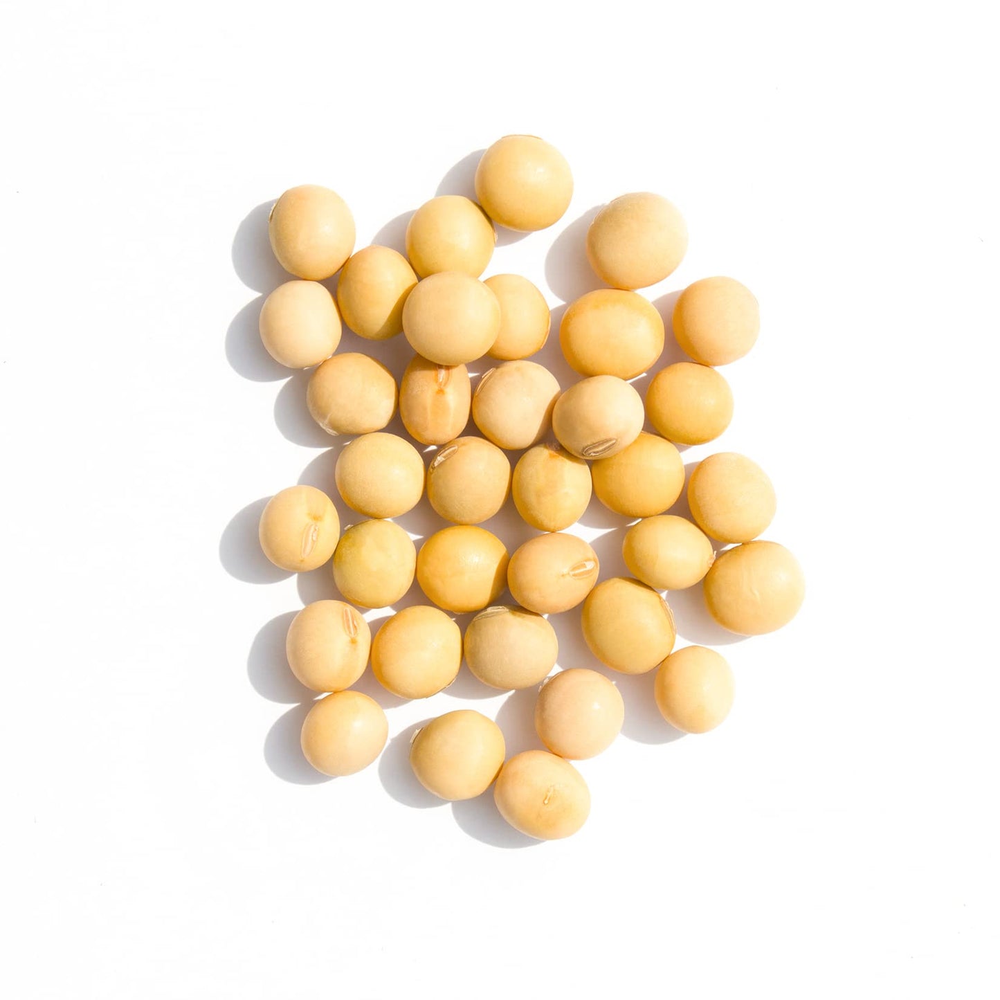 ROM AMERICA Premium Soybeans for Soy Milk, Tofu, Tempeh - 4 Pound Pack