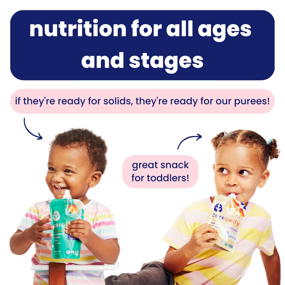 Cerebelly Organic Baby Food Pouches, Carrot Chickpea Purees, 16 Nutrients, No Added Sugar, Fiber & Non-Gmo, 4Oz, 12 Pack