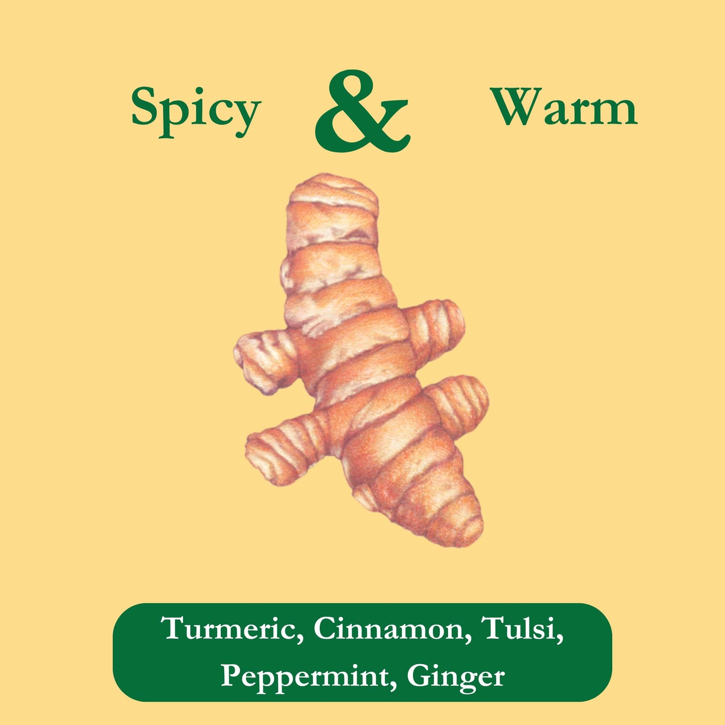 Tadin Organic Turmeric Ginger Tea, Caffeine Free Herbal Tea, 20 Count, Pack of 6, Model 7-67531-55253-7
