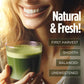 VitaCup Hydration Matcha Instant Packets, Electrolytes, 20 Count, Single Serve Sticks