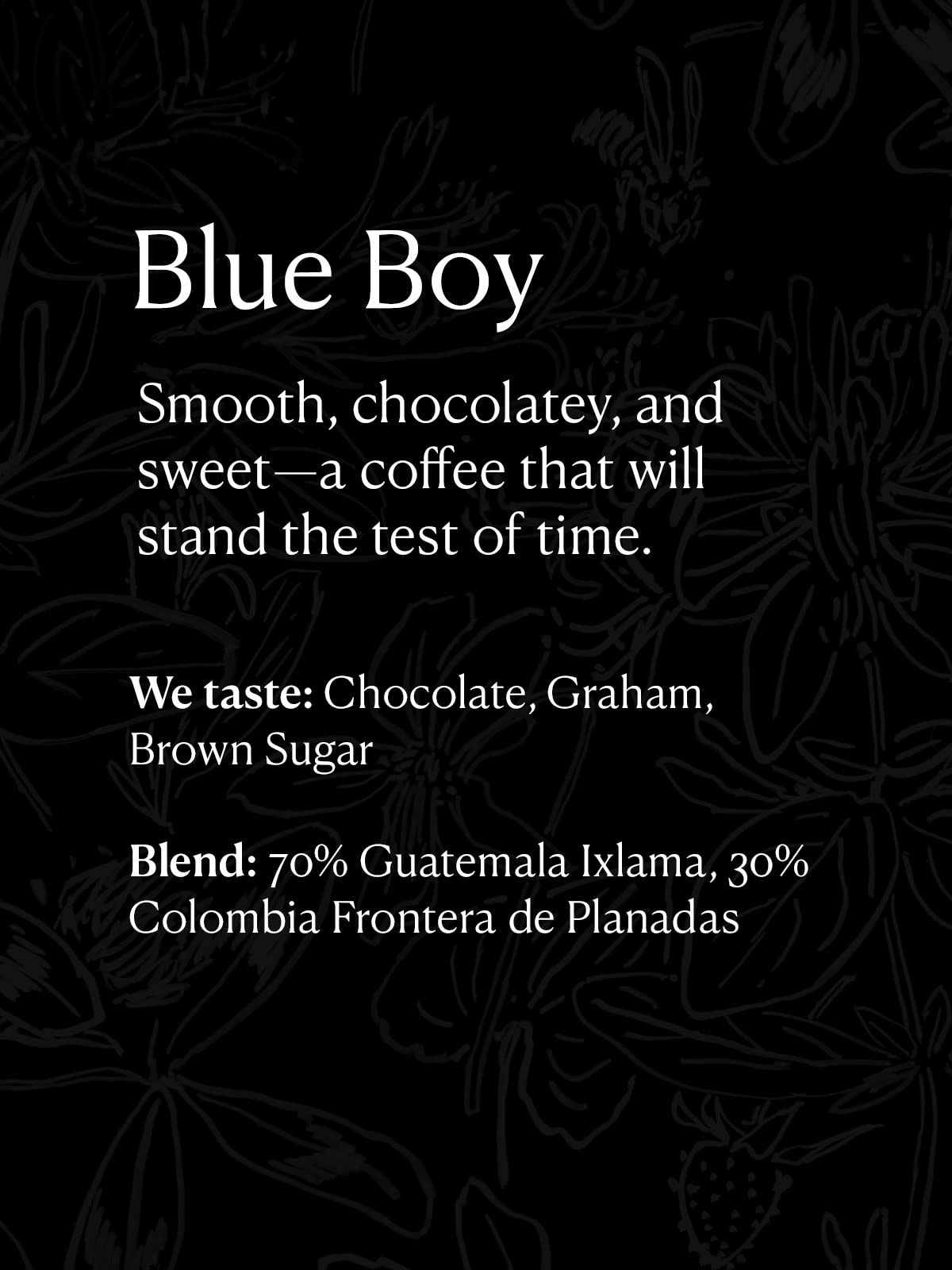 Methodical Coffee Blue Boy Whole Bean Coffee 100% Arabica Smooth Roast 12 Oz