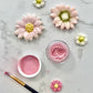 Pink Petal Dust | Light Pink Matte Powder | Enhanced Decoration Dust For Cake Accessories | Sugar Fondant Powder | Diy Crafting | Non-Toxic | Pigmento Rosa | 4 Grams