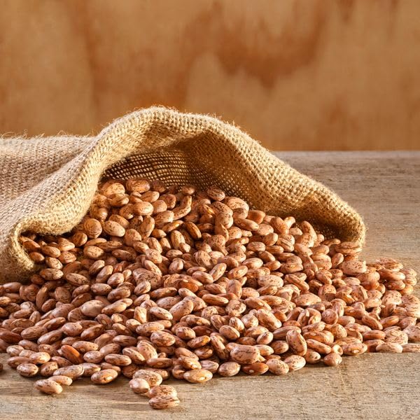 Augason Farms Pinto Beans Emergency Bulk Food Storage 4 Gallon Pail 253 Servings