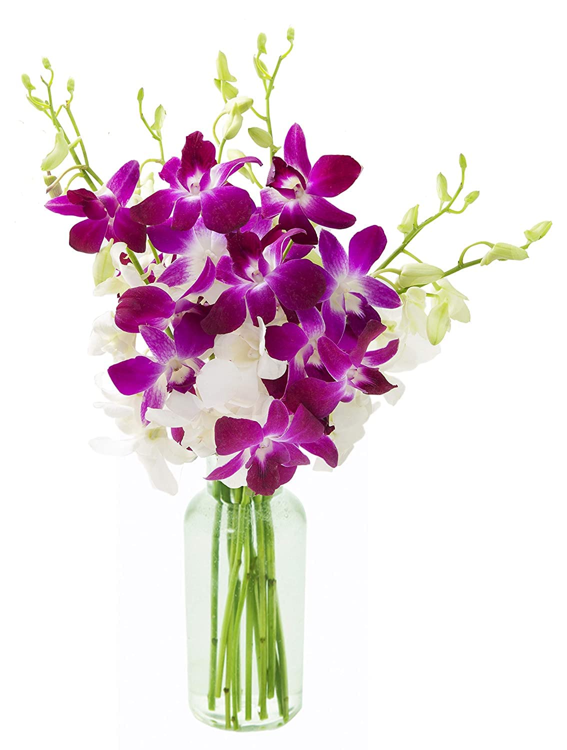 KaBloom Flowers - Mother's Day Collection - 5 Purple and 5 White Orchid with Vase. Gift for Birthday, Sympathy, Anniversary, Get