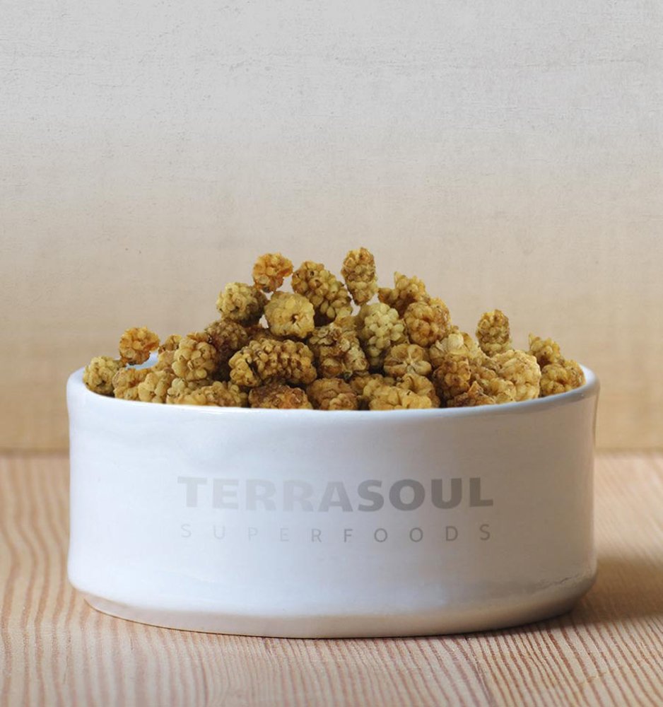 Terrasoul Superfoods Organic Sun-Dried White Mulberries, Naturally Sweet, 1 Lb, Low Glycemic, Rich in Vitamin C