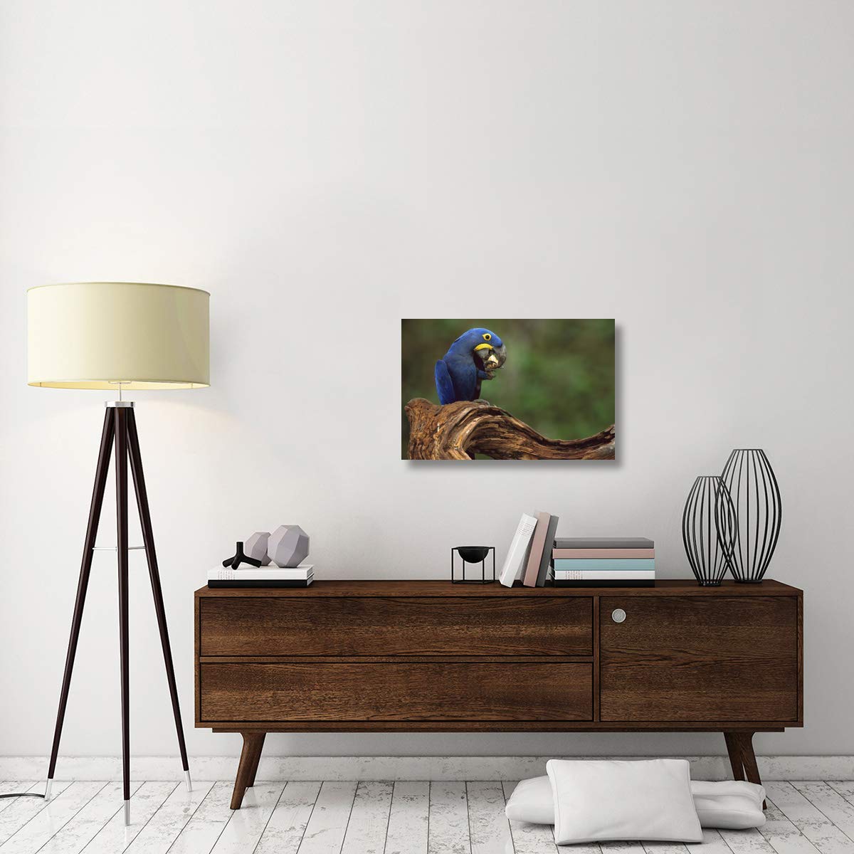 Hyacinth Macaw Eating Piassava Palm Nuts, Cerrado, Brazil-Canvas Art-30''X20''