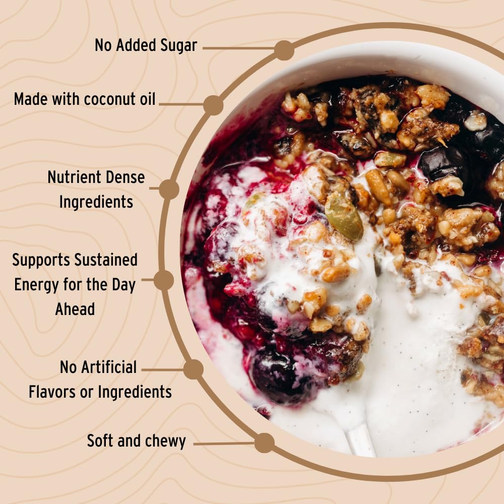 Wildway Keto Granola Coconut Cashew Grain-Free Vegan Low Carb Snack 8 oz