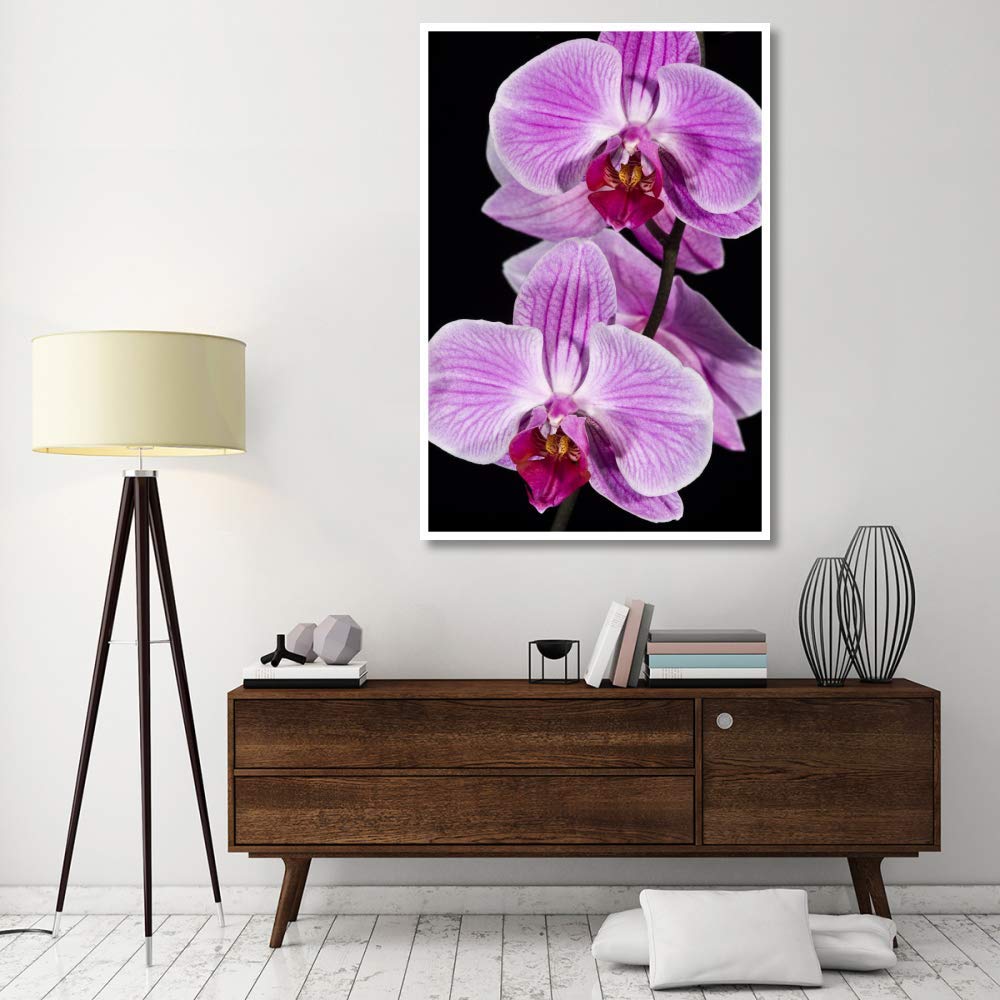 Orchid Flowering, Beveren-Waas, Belgium-Paper Art-42''X62''