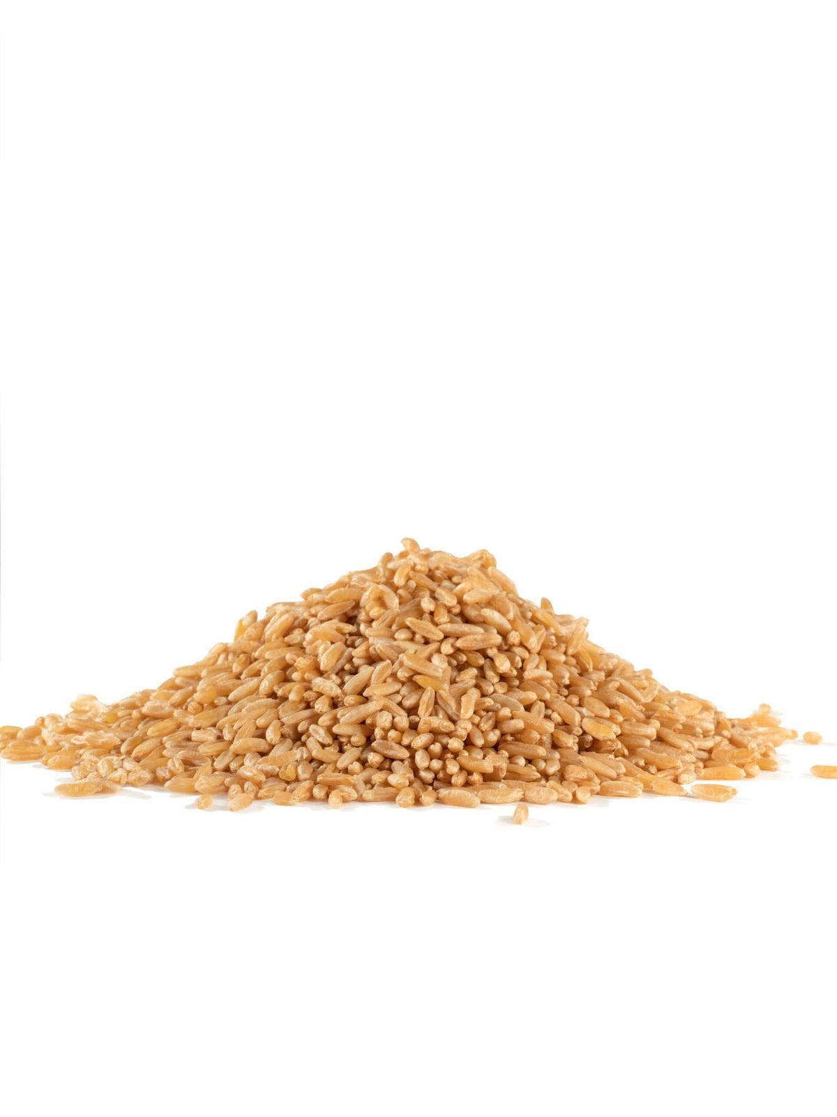 Bob's Red Mill Organic Kamut(R) Khorasan Wheat Berries, 24 Oz