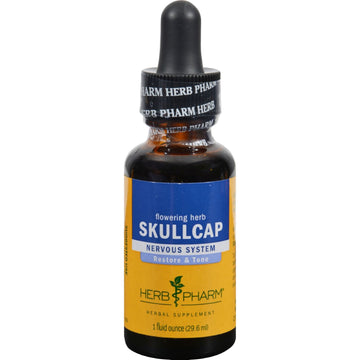 St. JohnS Wort Extract