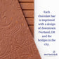 Moonstruck Chocolate Mint Chocolate Bar, 73% Cacao, 3.0Oz (Pack Of 4)