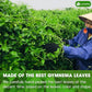 Premium Gymnema Leaf Tea Bags for Diabetics, 100% Natural & Pure from Gymnema Leaves.