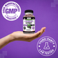 Elderberry Extract