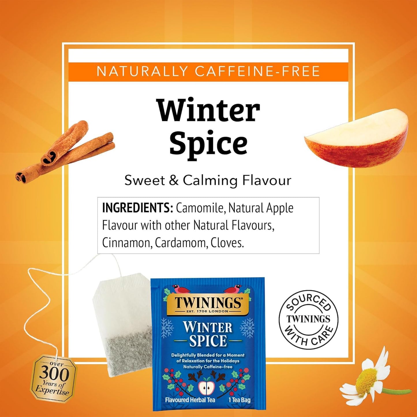 Twinings Winter Spice Herbal Tea - Caffeine-Free, 20 Count (Pack of 2), Brown, Model TS0417-A700ML-M1502