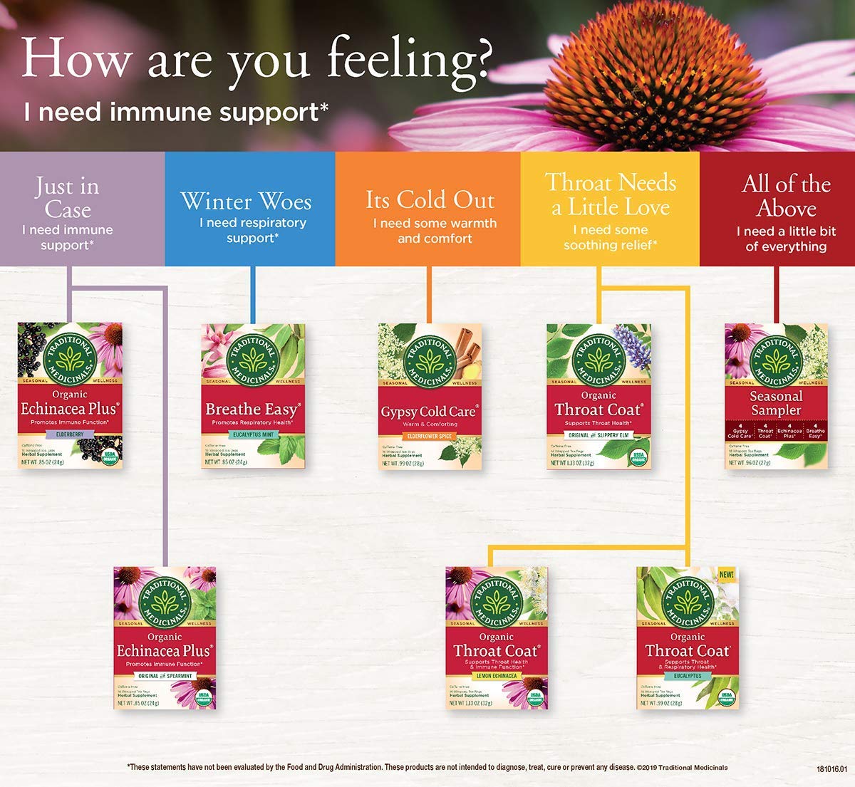 Traditional Medicinals Tea Echinacea Elder Or
