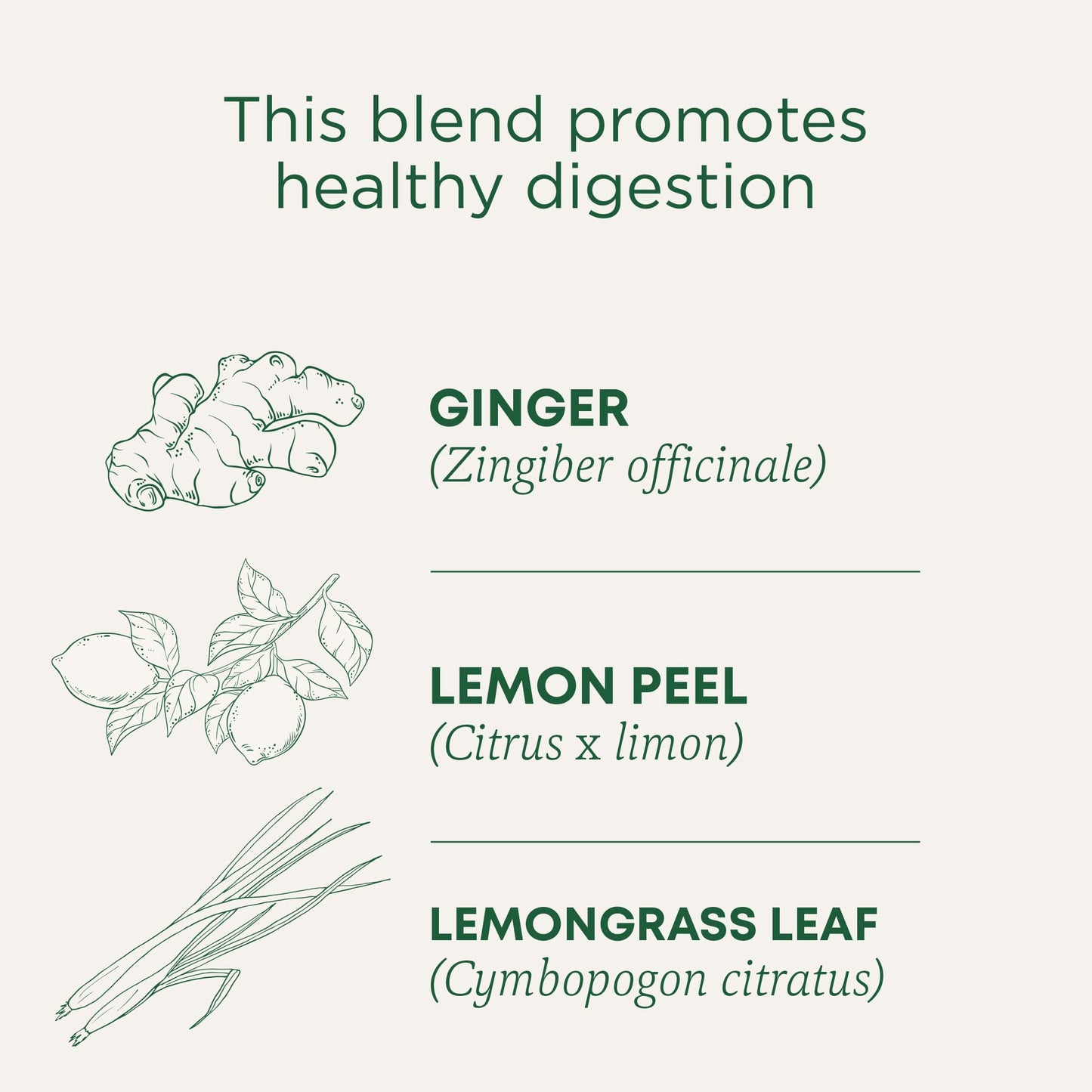 Traditional Medicinals Organic Lemon Ginger Tea, 16 Count (Pack Of 2) - Total 32 Tea Bags