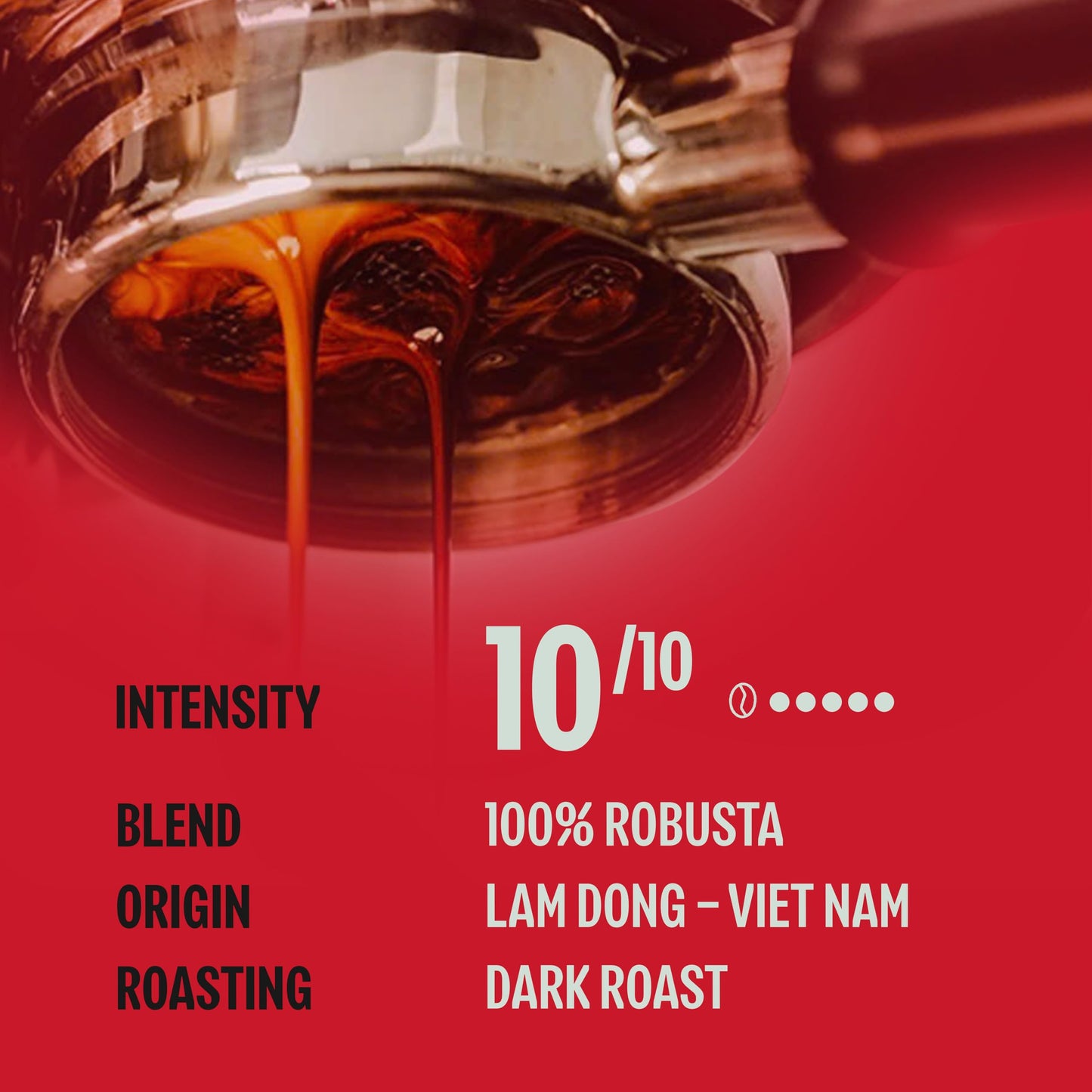 BAZAN COFFEE - Too Strong Robusta Vietnamese Whole Bean Coffee Dark Roast  Single Origin  High Caffeine & Low Acid Coffee  Bold Espresso Coffee Beans for Espresso Lovers  Full Bodied Flavor - 12oz bag