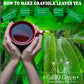 Gabio Green- Whole Soursop Leaves(3Oz/85Gr) 180 + Leaves Aprox, Big Bag, Hojas De Guanabana, Tea Soursop, Resealable Bag, Dried