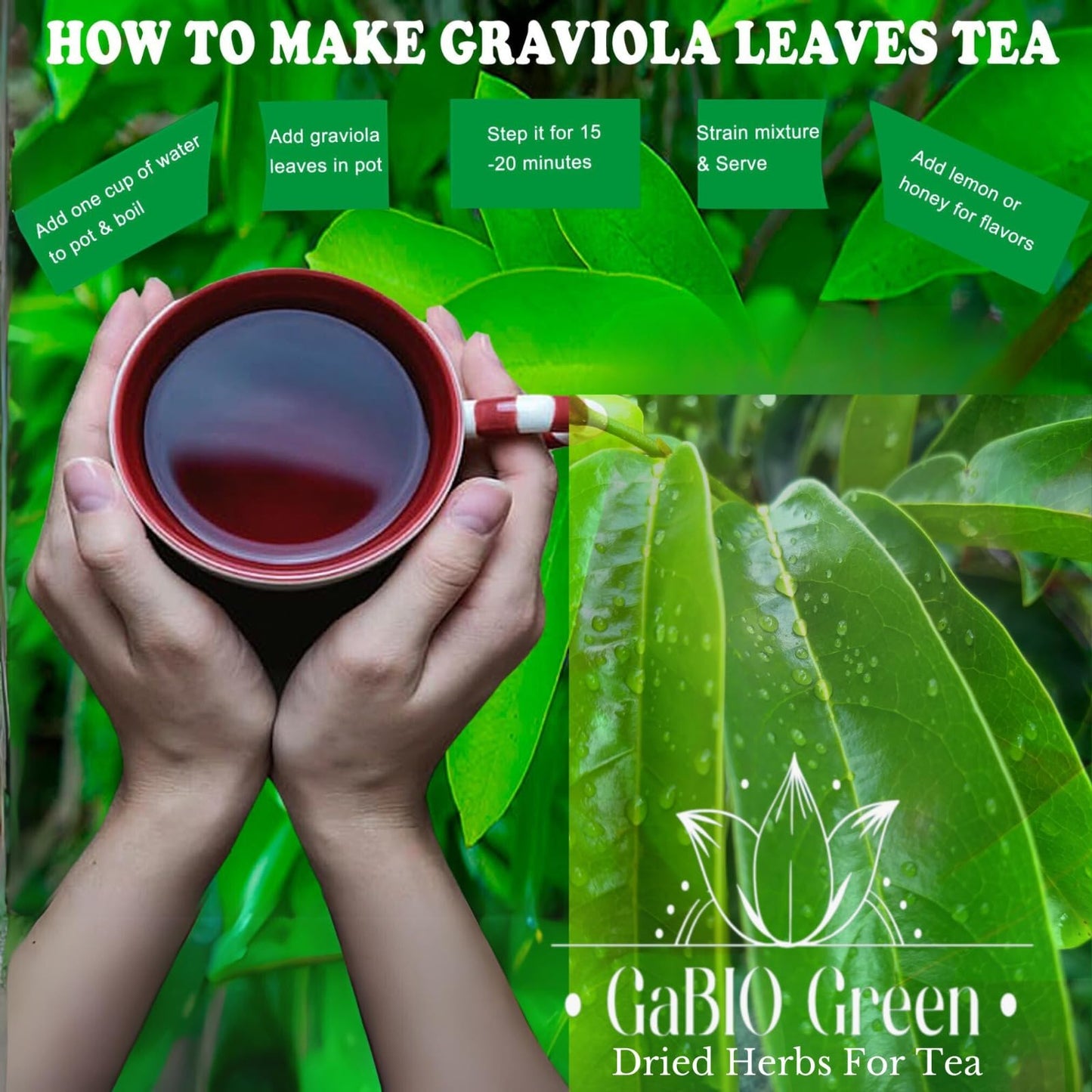 Gabio Green- Whole Soursop Leaves(3Oz/85Gr) 180 + Leaves Aprox, Big Bag, Hojas De Guanabana, Tea Soursop, Resealable Bag, Dried