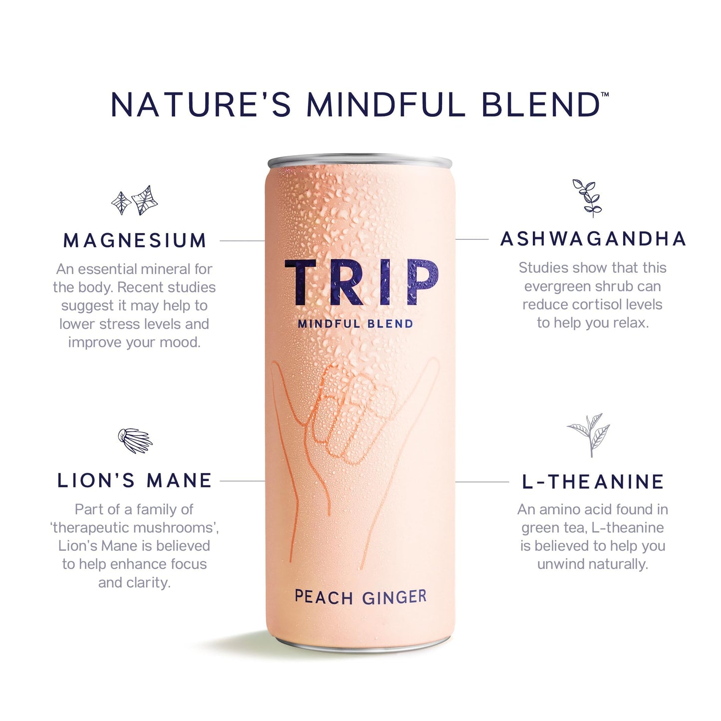 TRIP Mindful Blend Sparkling Adaptogen Seltzer, 12 Pack, 12 Oz Cans, Vegan, No Added Sugar, Variety Pack