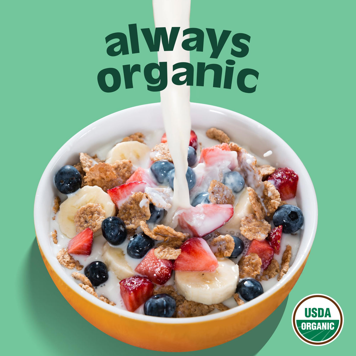 ORGANIC VALLEY Organic DHA Omega 3 Whole Milk, 0.5 GL