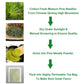 FullChea Dried Pine Needle Tea Bags - 40 Count, 2.5g/bag, Caffeine-free Herbal Tea, Rich in Vitamins & Antioxidants
