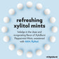 Xyloburst Xylitol Mints - Sugar Free Mints With Xylitol Candy - Aspartame Free, Gluten Free, Vegan & Keto Friendly Peppermint -1
