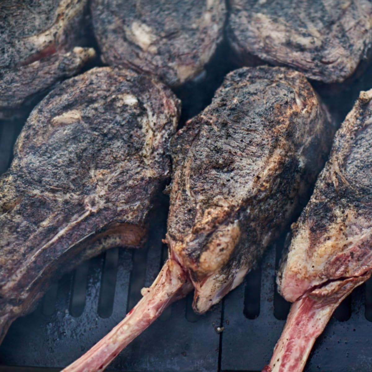 Hardcore Carnivore Black Charcoal Seasoning for Steak and BBQ, 50 Ounce Pack