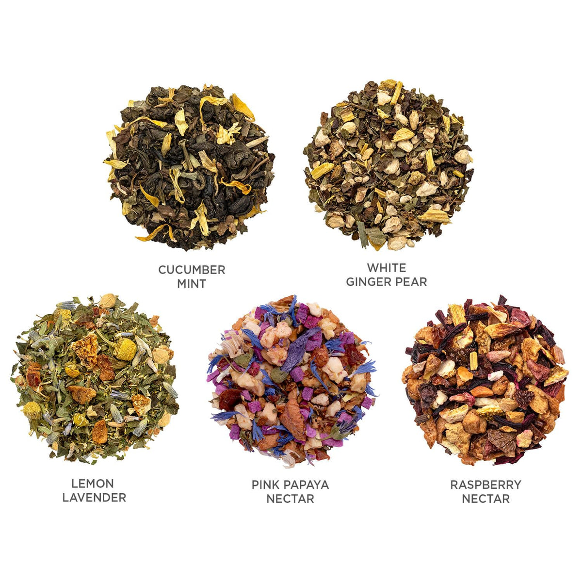 Tea Forte Mariposa Tea Sampler With 20 Pyramid Tea Infuser Bags - Fruit, Herb And Flower Tea - Presentation Box Assorted Variety Tea Gift Set