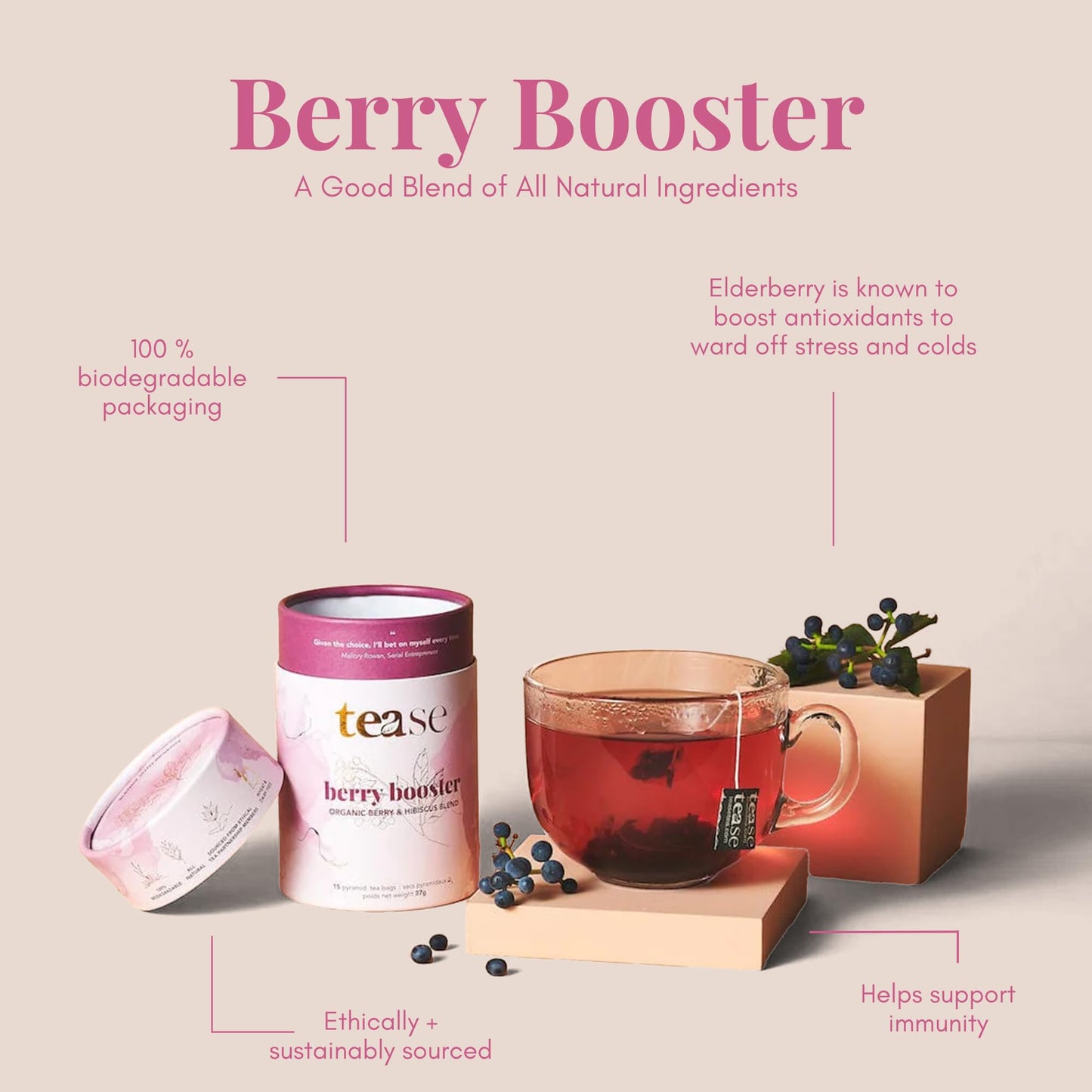 Tease Tea Organic Hibiscus Drink - Berry Booster Elderberry, Caffeine Free Herbal Tea, Made with Hibiscus Petals and Currant