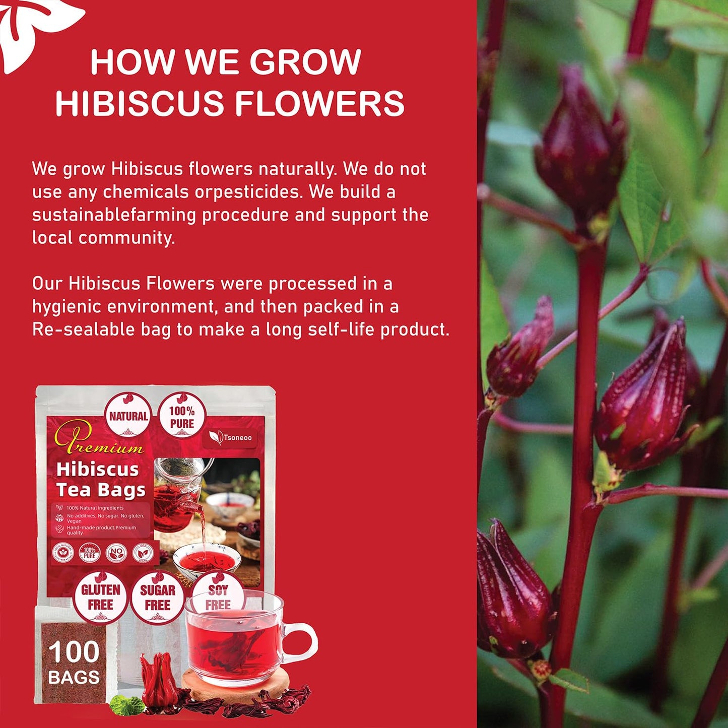 tsoneoo Premium Hibiscus Flowers Tea Bags - 100% Natural Herbal Tea - Vegan Friendly - No Sugar, Caffeine, or Gluten - 20 Count