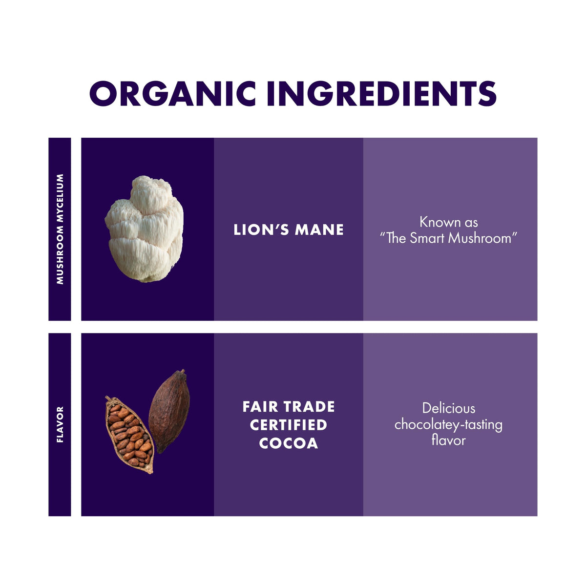 Host Defense Mycobrew Cocoa - Cocoa Powder Drink Mix Includes Lion'S Mane Mushroom - Superfood Powder Drink Mix With Fair Trade