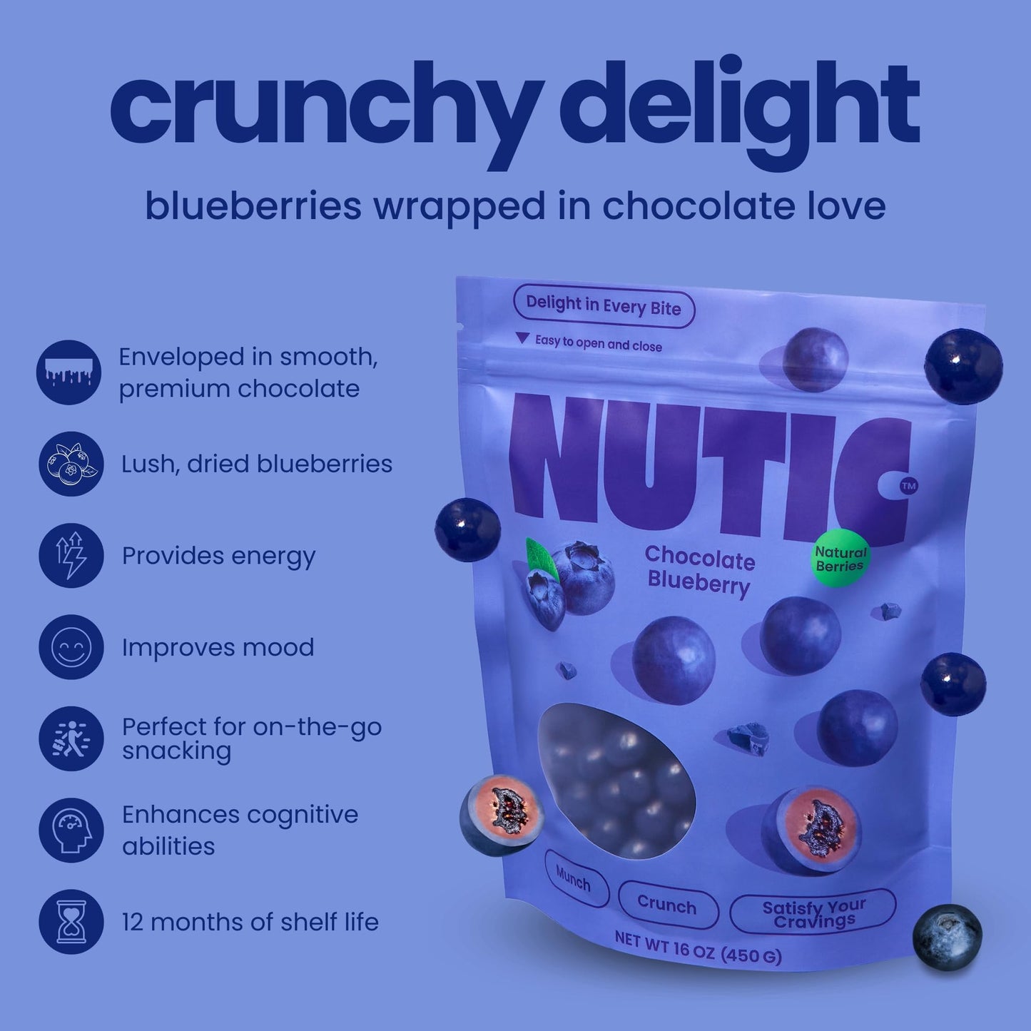 Nutic Milk Chocolate Covered Blueberries, 1Lb Gourmet Candy, Perfect for Gifts, Made in USA