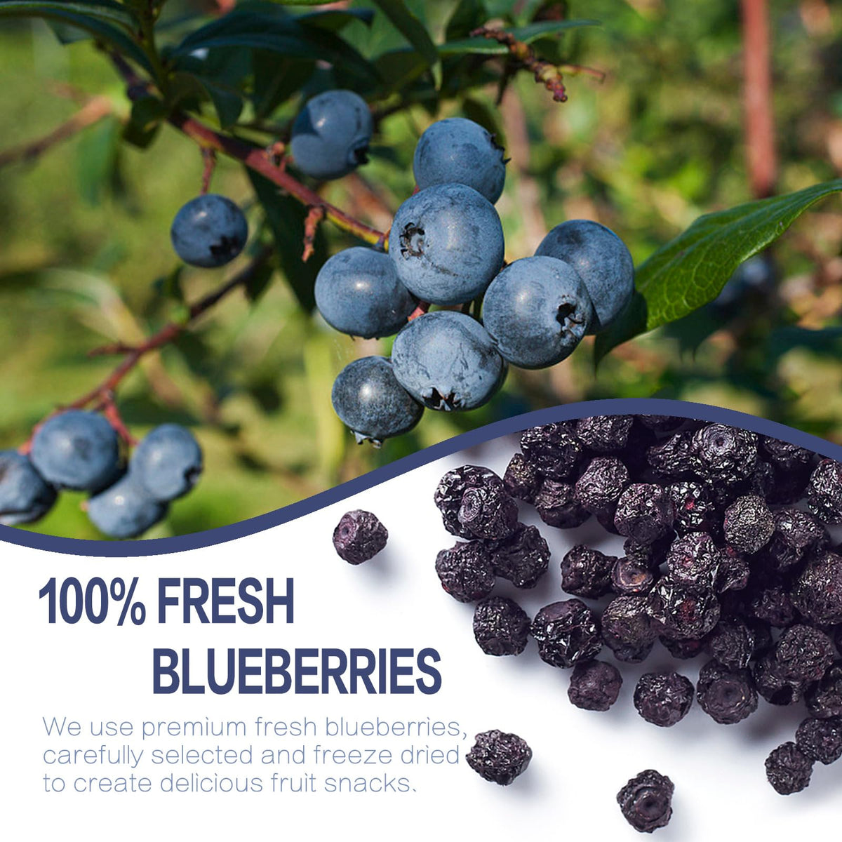 Freeze Dried Blueberries, 6Oz/170G Whole Frozen Blueberries, Freeze Dried Fruit No Added Sugar, Natural Snack, Jar Packaging Des