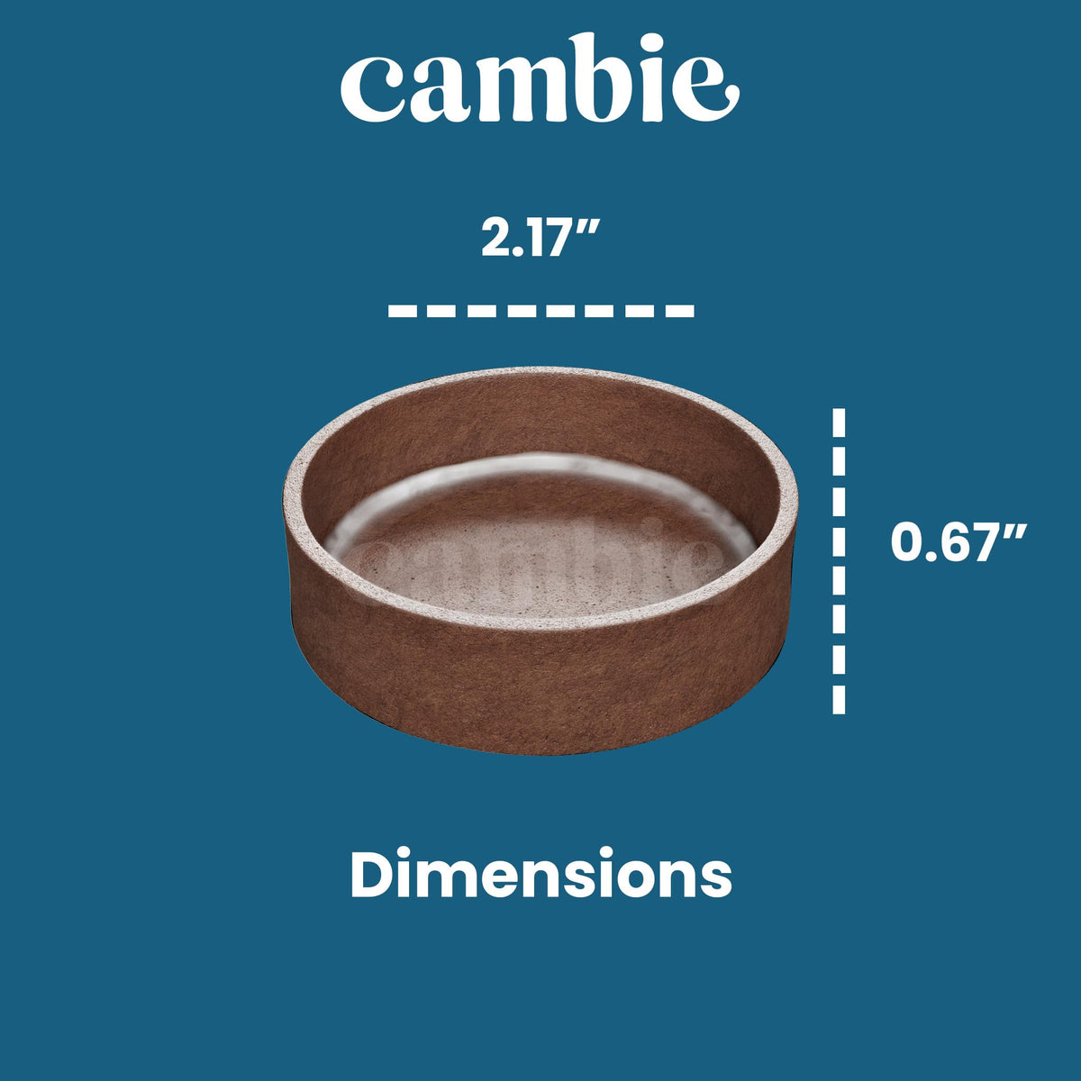Cambie Round Chocolate Medium Tart Shells, 2.17 in Diameter, French Style Cocoa Tarts with Dark Chocolate Coating (Pack of 40)
