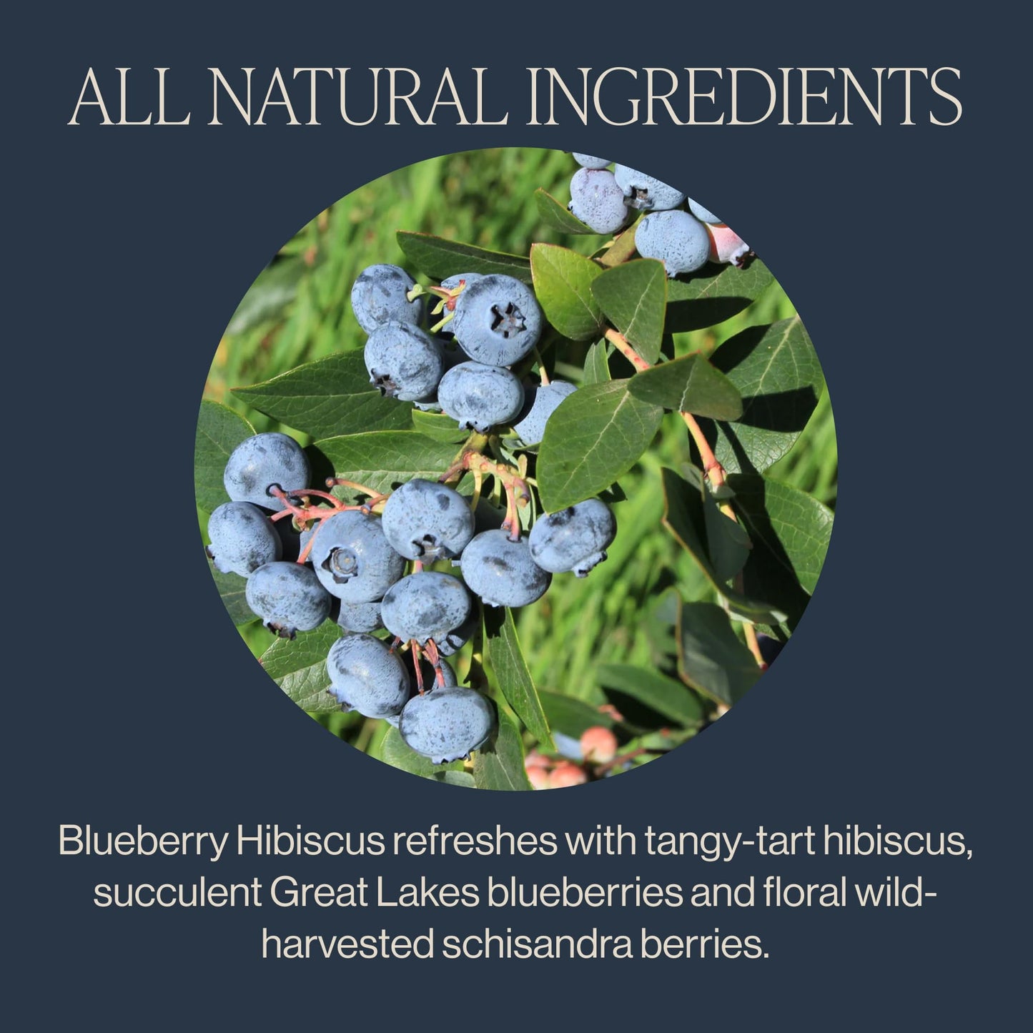 Rishi Tea Blueberry Hibiscus Herbal Tea Sachets, Caffeine Free, 15 Count