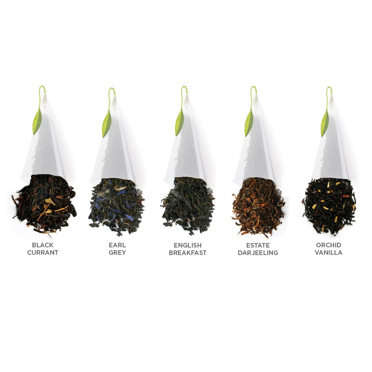 Tea Forte Presentation Box Tea Sampler Gift Set, 20 Assorted Variety Handcrafted Pyramid Tea Infuser Bags (Black Tea)