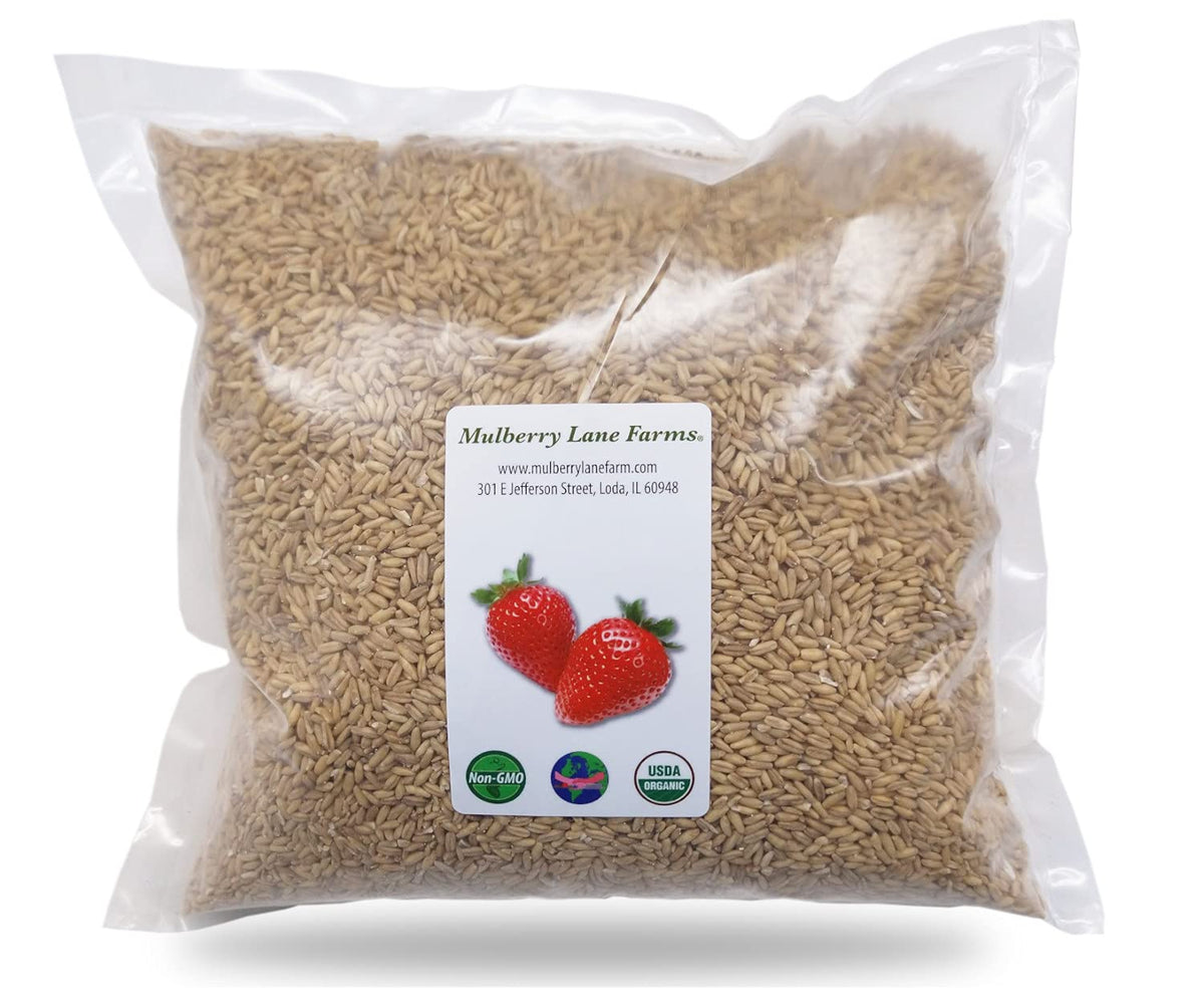 Whole Oats 5 Pounds Hulled, Groats, Usda Certified Organic Non-Gmo Bulk, Mulberry Lane Farms