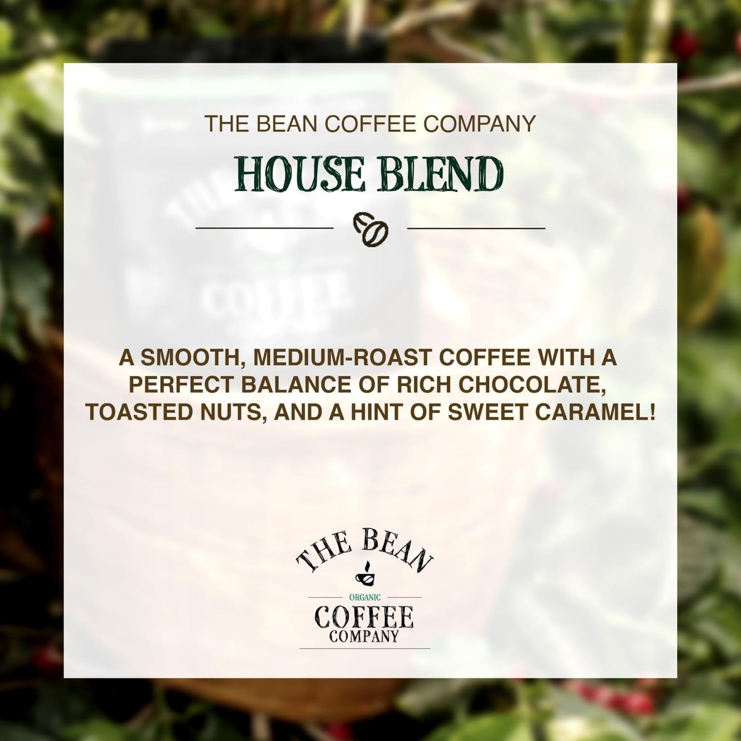 The Bean Organic Coffee Company House Blend, Medium Roast, Ground Coffee, 16-Ounce Bags (Pack Of 2), Caf   Molido Tostado Org  N