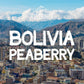 Bolivia Peaberry Coffee, Caranavi, Whole Bean, Fresh Roasted, Kosher, 5 lbs