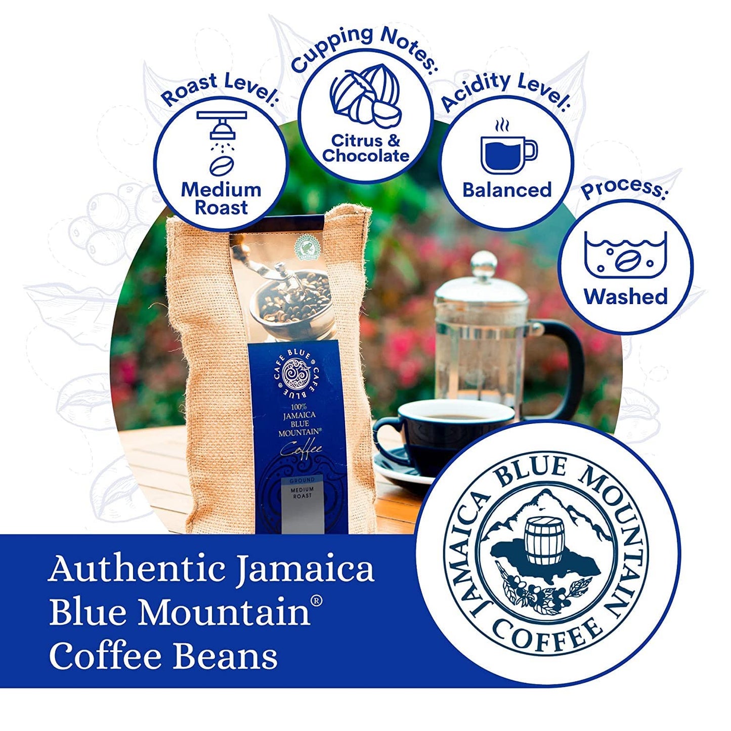 Cafe Blue - 100% Authentic Jamaica Blue Mountain Coffee from Clifton Mount Estate  Medium Roast Whole Bean Coffee  enhanced Arabica Coffee Beans  Coffee Bag of 16 Ounces (1 Pound  454 Grams)