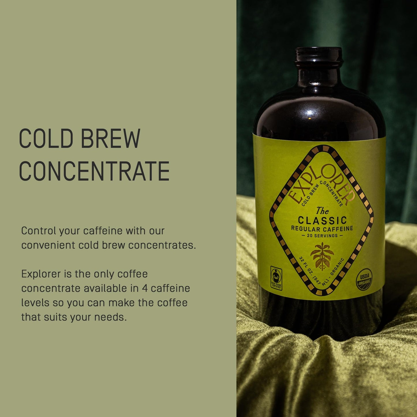 Explorer Cold Brew Organic Liquid Coffee Concentrate, Classic Regular Caffeine, 32 fl oz, Makes 20+ Cups