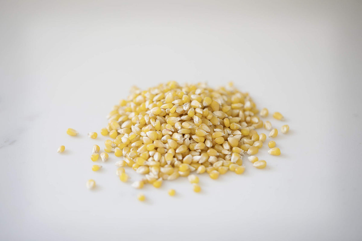 Amish Country Popcorn | 1 lb Bag | Ladyfinger Popcorn Kernels | Old Fashioned, Non-GMO and Gluten Free (Ladyfinger - 1 lb Bag)