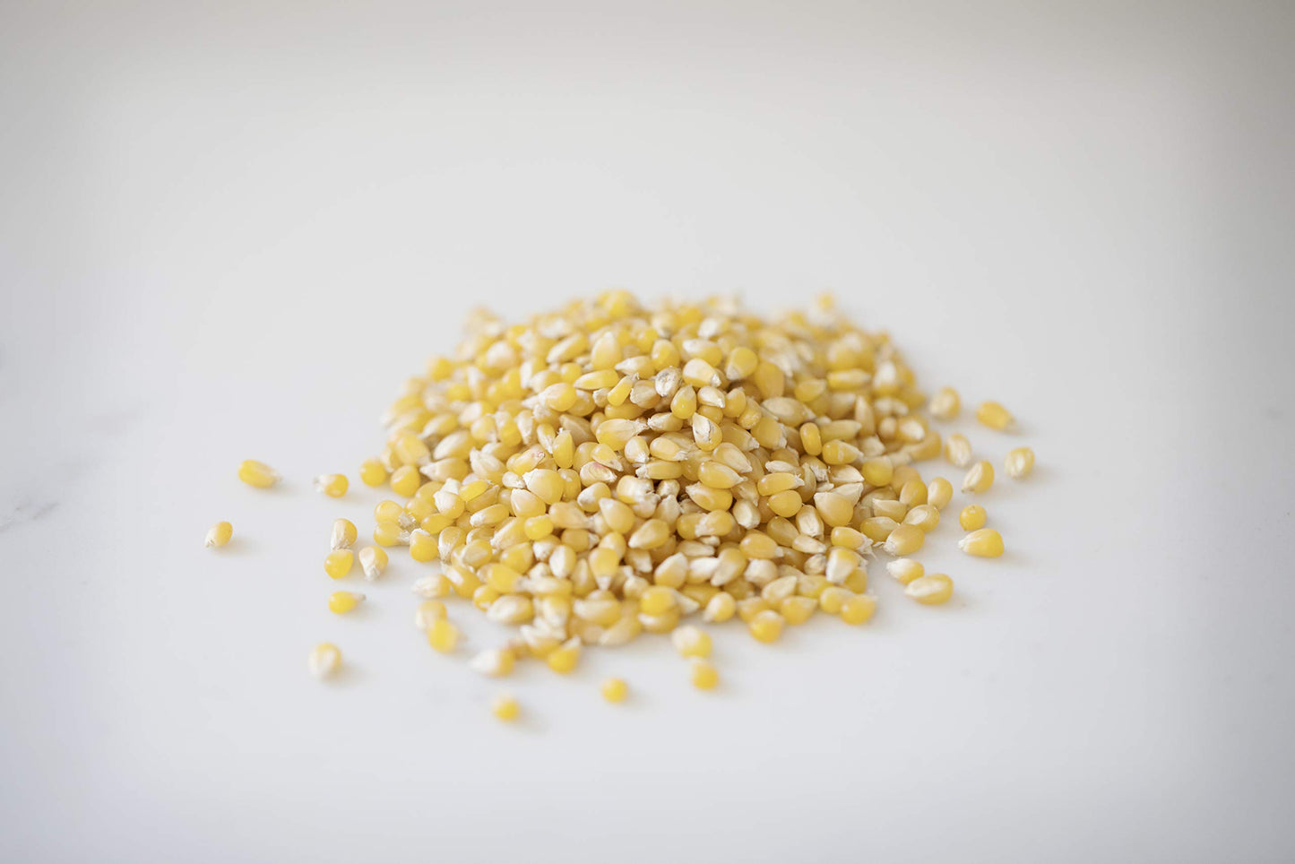 Amish Country Popcorn | 25 lb Bag | Ladyfinger Popcorn Kernels | Old Fashioned, Non-GMO and Gluten Free (Ladyfinger - 25 lb Bag)