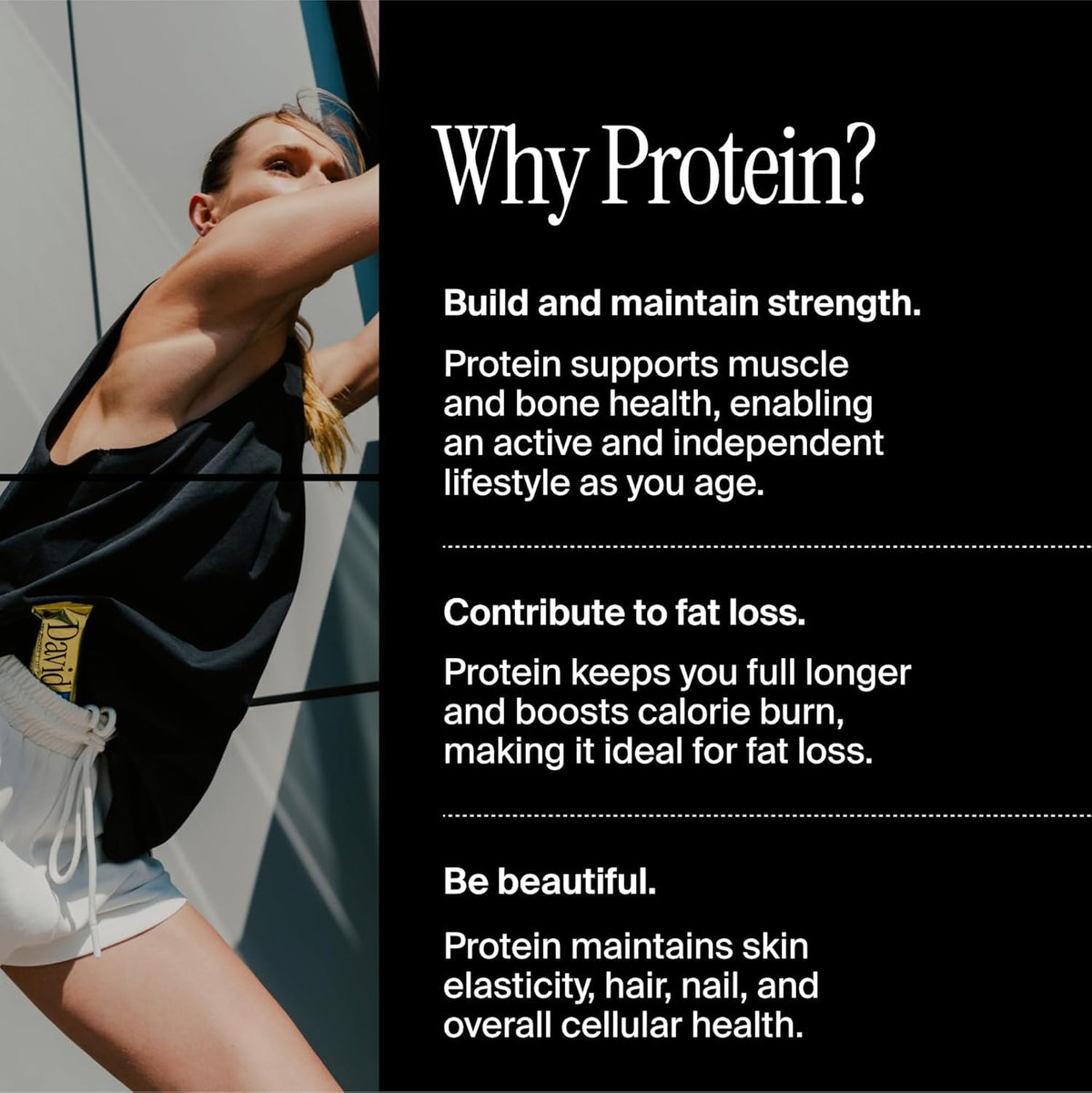 David Protein Bar  Blueberry Pie  24 Protein Bars | 28g of Protein | 150 Calories | 0g of Sugar - High Protein  Low Carb  Gluten Free Protein Bar  Pack of 24