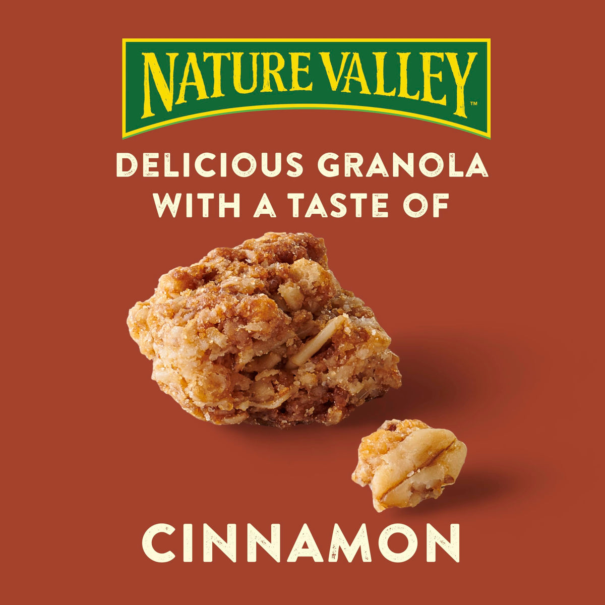 Nature Valley Crunchy Granola, Cinnamon Granola, Resealable Snack Pouch, 16 oz