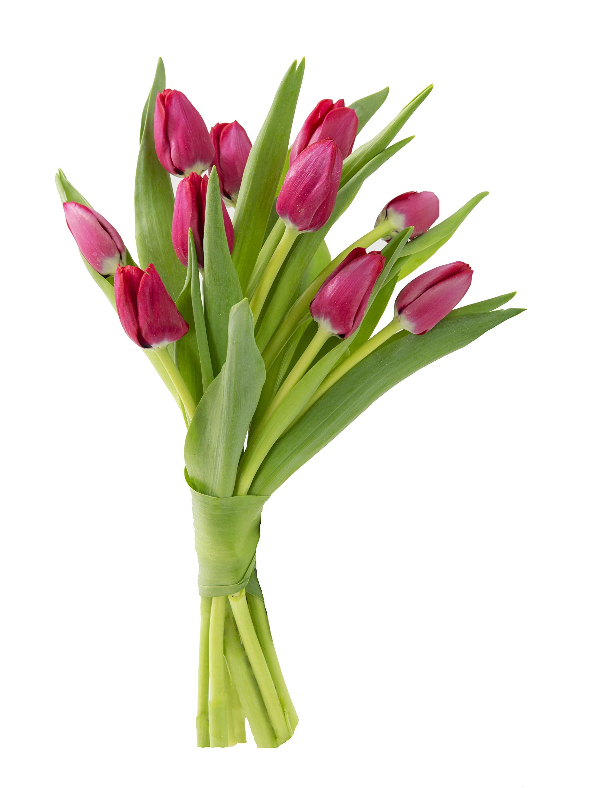 KaBloom PRIME NEXT DAY DELIVERY - Mother’s Day Collection - Bouquet of Fresh Red Tulips (Farm-Fresh, Cut-to-Order and Homegrown in the USA). Gift for Birthday, Mother’s Day Fresh Flowers