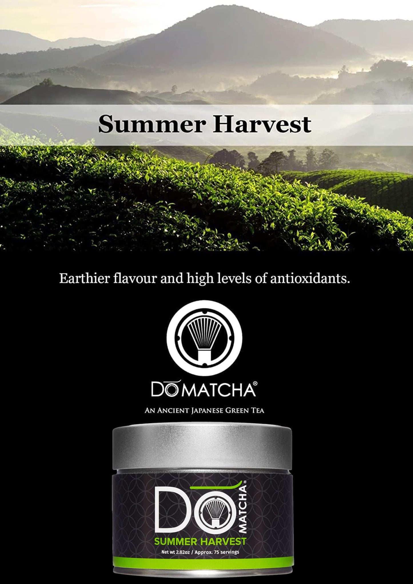 DoMatcha Summer Harvest Green Tea Matcha Powder, Natural Antioxidants, 75 Servings, 2.82 oz