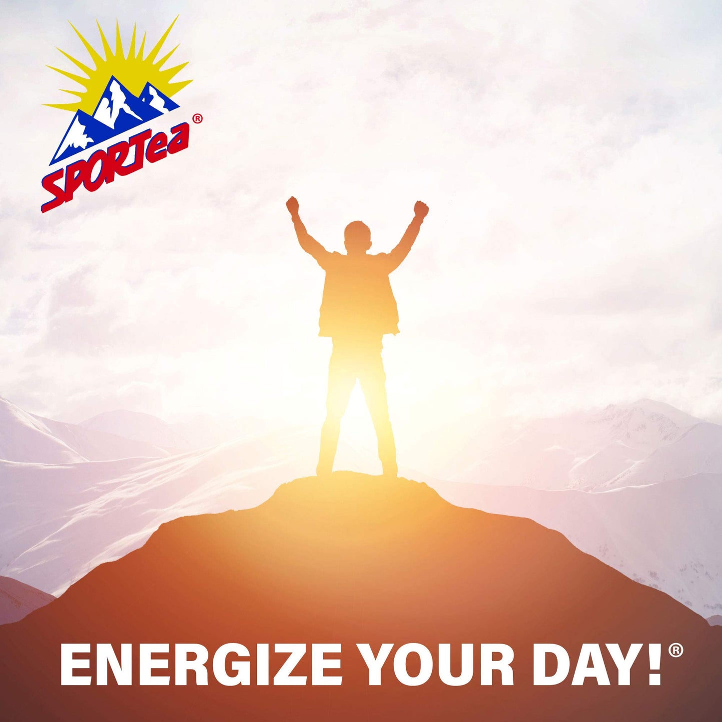 SPORTea Hot | Natural Decaf Energy Drink w/Yerba Mate, Siberian Ginseng, Green & Black Tea, Electrolytes | Stress Fighter | Heal